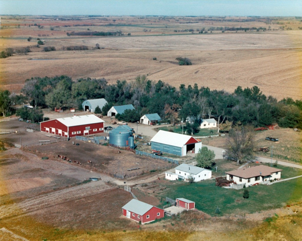Wilson Farm 1994 Aerial Photo